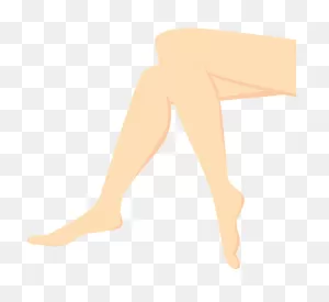 Legs And Feet Clipart. Free Download Transparent .png | ClipartFlare