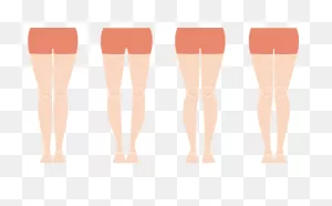 Legs Clipart. Free Download Transparent .png | ClipartFlare