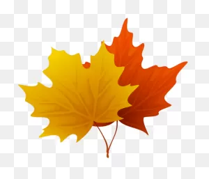 Fall Autumn Leaves Clipart | Leaf Clipart, Clip Art, Maple Leaf