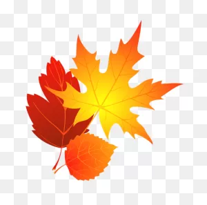 Free Fall Leaf Transparent Background, Download Free Fall Leaf ClipartFlare.com 