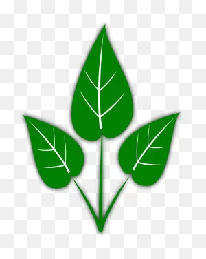 Leaves Clipart Rustic - Pile Of Leaves Clipart - Png Download ClipartFlare.com 