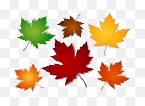 Leaves Clipart Transparent Background - Autumn Leaf No Background ClipartFlare.com 
