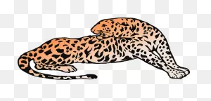 Leopard Clipart. Free Download Transparent .png | ClipartFlare