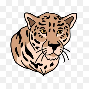 Leopard Graphics To Download