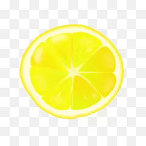 Lemon Slice Vector Image | Free PNG-WebP