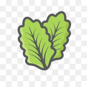 Diet, Food, Leaf, Lettuce, Salad, Vegetable, Vegetarian Icon ClipartFlare.com 