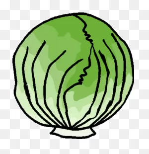 Free Head Of Lettuce Transparent, Download Free Head Of Lettuce ClipartFlare.com 