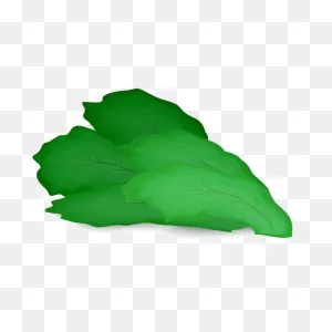 Green Salad Leaf | Free PNG-WebP