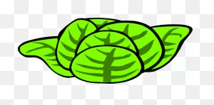 Head Of Lettuce Clipart Transparent Clipartfest - ClipartFlare