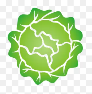 Lettuce Clipart - Clipart Suggest