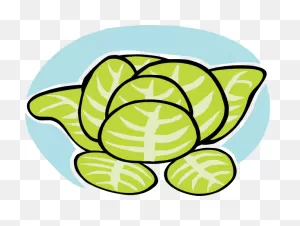Lettuce Clipart Image 2 - ClipartFlare