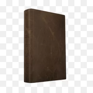 Men Of Character Bible - Genuine Leather - Bible Principles