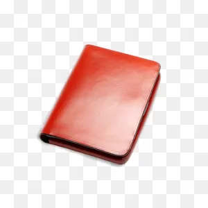 Nolo Wallet In Coloured Leather