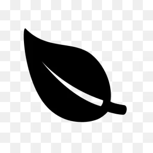 White Leaf Icon - Free White Leaf Icons