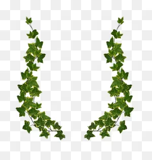 Page Borders Design, Border Design, Green Leaves