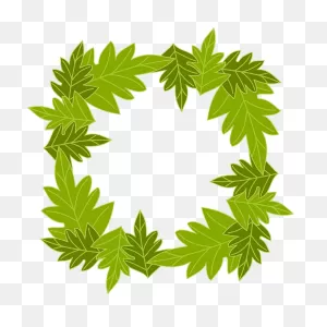 Square Border Of Green Leaves Clipart. Free Download Transparent ClipartFlare.com 