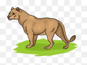 Free Lioness Cliparts, Download Free Lioness Cliparts Png Images ClipartFlare.com 
