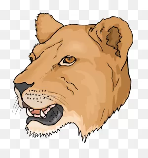 Lioness Clipart - ClipartFlare