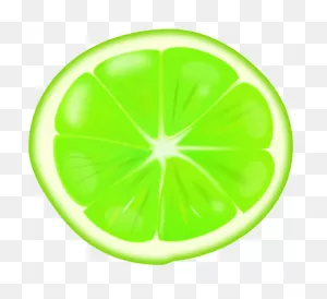 Lime Slice - ClipartFlare