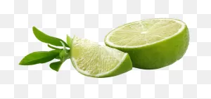 Lemon Clipart Green - Green Lemon Slice Png Transparent Png - Full ClipartFlare.com 