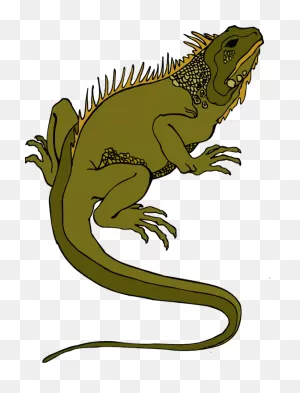 Best Lizard Clipart #8166 - ClipartFlare ClipartFlare.com