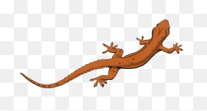 Download Lizard File Hq Png Image | ClipartFlare
