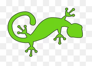 Download Lizard Gecko Green Animal Nature Reptile W - Lizard ClipartFlare.com 