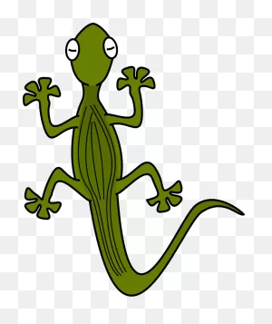 Lizard Tag | Gecko, Reptiles, Lagarto