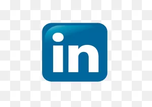 The Networking Life In Linkedin | La Niña Bonita