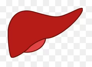 5 Liver Problem Symptoms Early Signs, Best Treatment