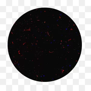 Aura Subvisible Particle Analysis Instrument - Halo Labs
