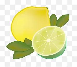 Download Hd Lemon Lime By Vixy1989 On  - Lemon And Lime ClipartFlare.com 