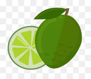 Lime Clipart. Free Download Transparent .png | ClipartFlare