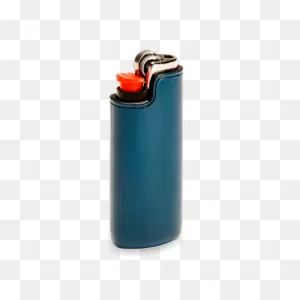 Best Buds Blue Lighter