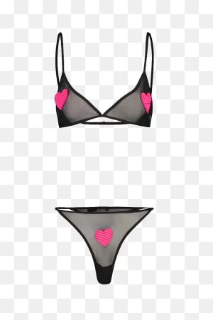 Heart Applique Mesh Lingerie Set