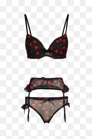 Heart Mesh Push Up Lingerie Set