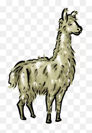 Free Llama Clipart 1 Page Of Public Domain Clip Art Image - ClipartFlare