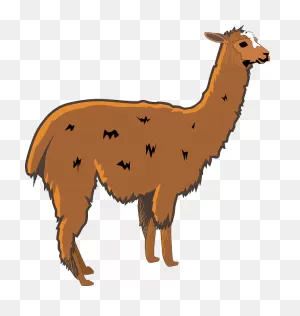 Llama Shaggy Animal - Free Vector Graphic On ClipartFlare
