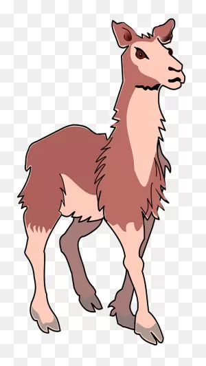 Llama Clipart. Free Download Transparent .png | ClipartFlare