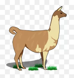 Llama Clipart. Free Download Transparent .png | ClipartFlare