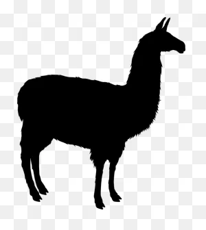 Llama Alpaca Animal - Free Vector Graphic On ClipartFlare