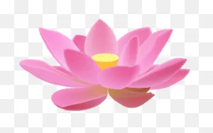 Lotus Flower Png