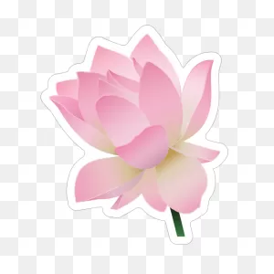 Sweet Pink Lotus Flower Sticker