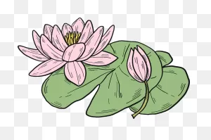 Lotus Clipart Transparent Background 1 - ClipartFlare
