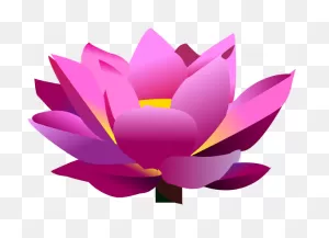 Lotus Flower Graphic Png - Lotus Flower In Png File Clipart - Full ClipartFlare.com 
