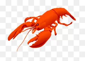 Clip Art Lobster Clipart Clipart - ClipartFlare