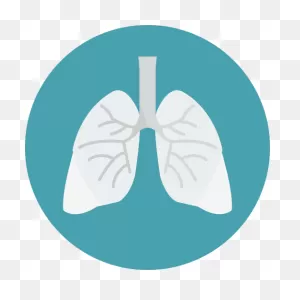 Lungs - Free Medical Icons