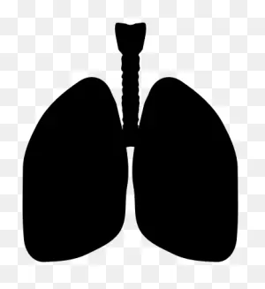 Lungs Silhouette - ClipartFlare