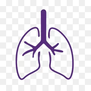 Lungs - A1Ad Support
