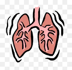 Next Ladder Meeting: The Lungs And Lung Stuff! | Theladder